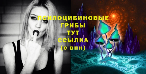 хмурый Осташков