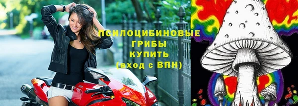 мет Осинники