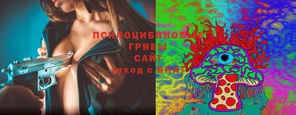 мет Осинники