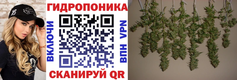 hydra сайт  Алупка  Бошки Шишки сатива 